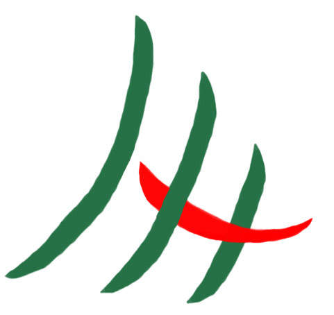 Gorden Rumah Sakit Indotex - Klien RSUP Dr. Mohammad Hoesin